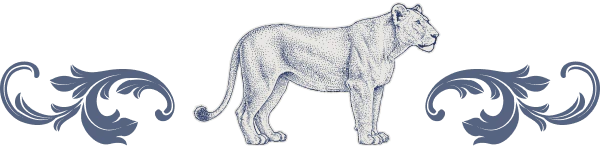 Desktop_Blue_Lion_Graphic A detailed sketch of a lioness stands in the center, flanked by two decorative, dark blue floral designs on each side.